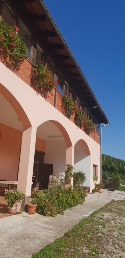 Klet Jana Bed & Breakfast Jastrebarsko Luaran gambar