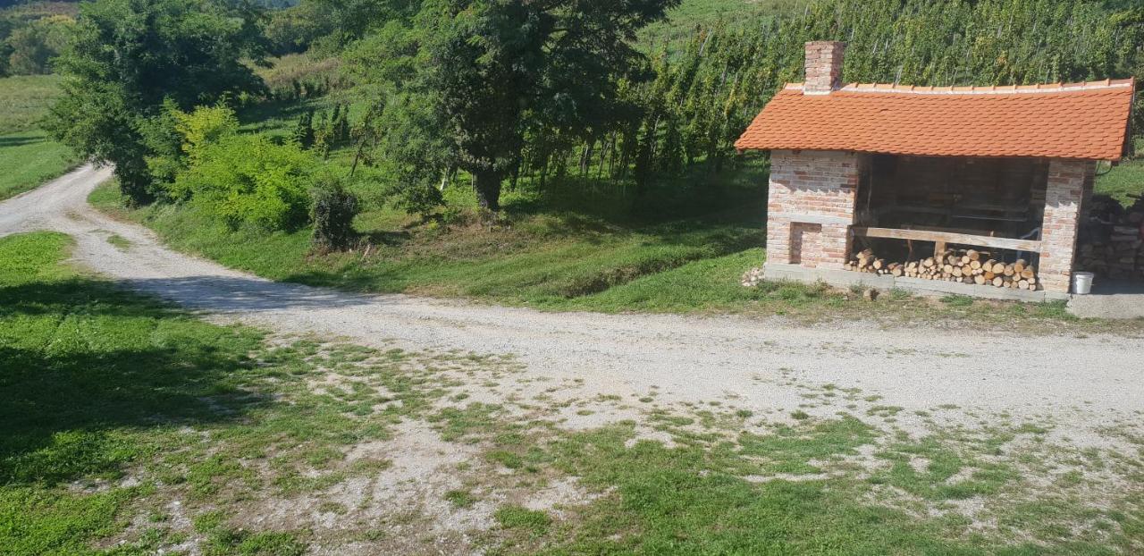 Klet Jana Bed & Breakfast Jastrebarsko Luaran gambar